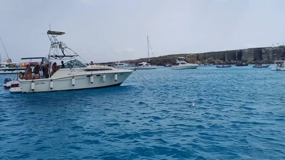 Video 2