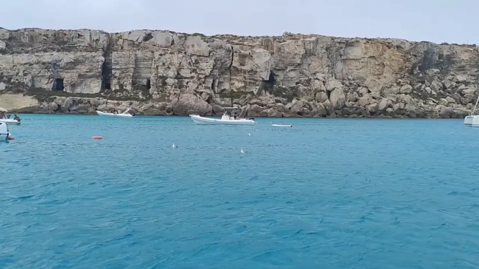 Video 3