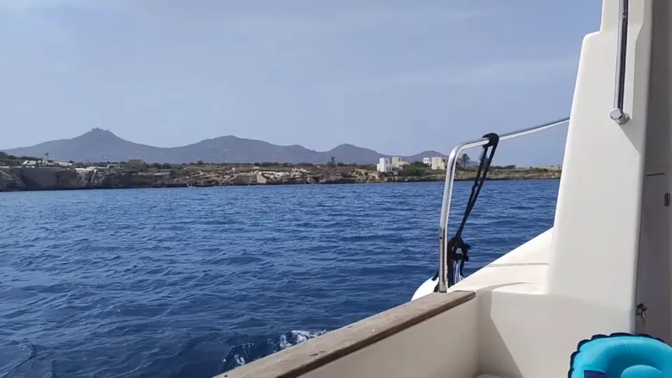 Video 4