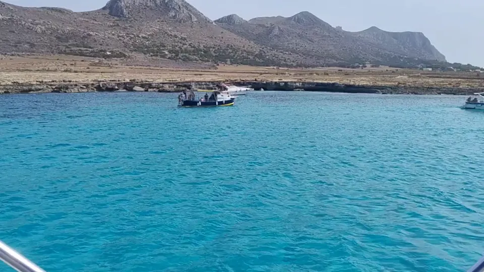 Video 6