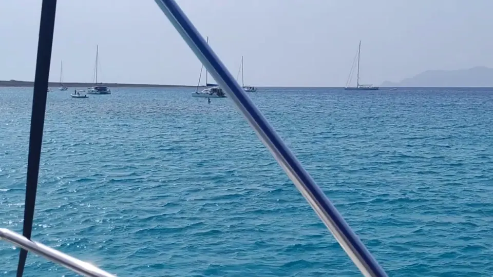Video 8